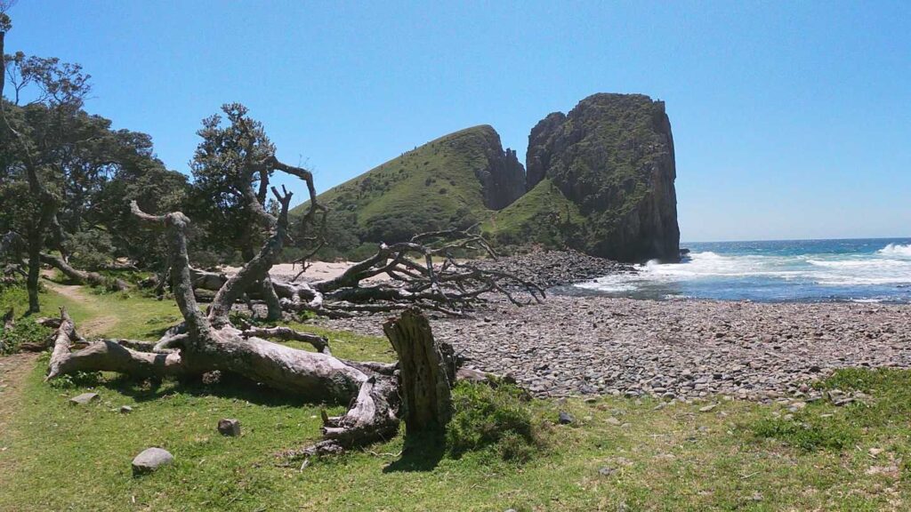 Discover the Best of South Africa’s Hidden Gems - Image 1