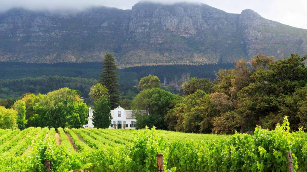 Discover the Best of South Africa’s Hidden Gems - Image 1