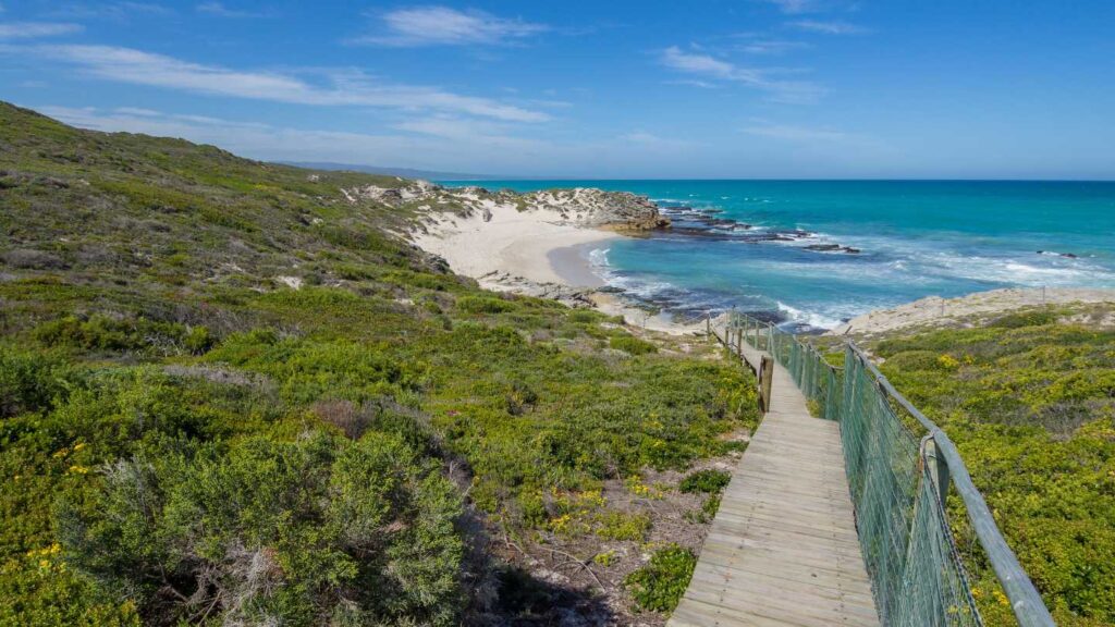 De Hoop Nature Reserve - Featured Image