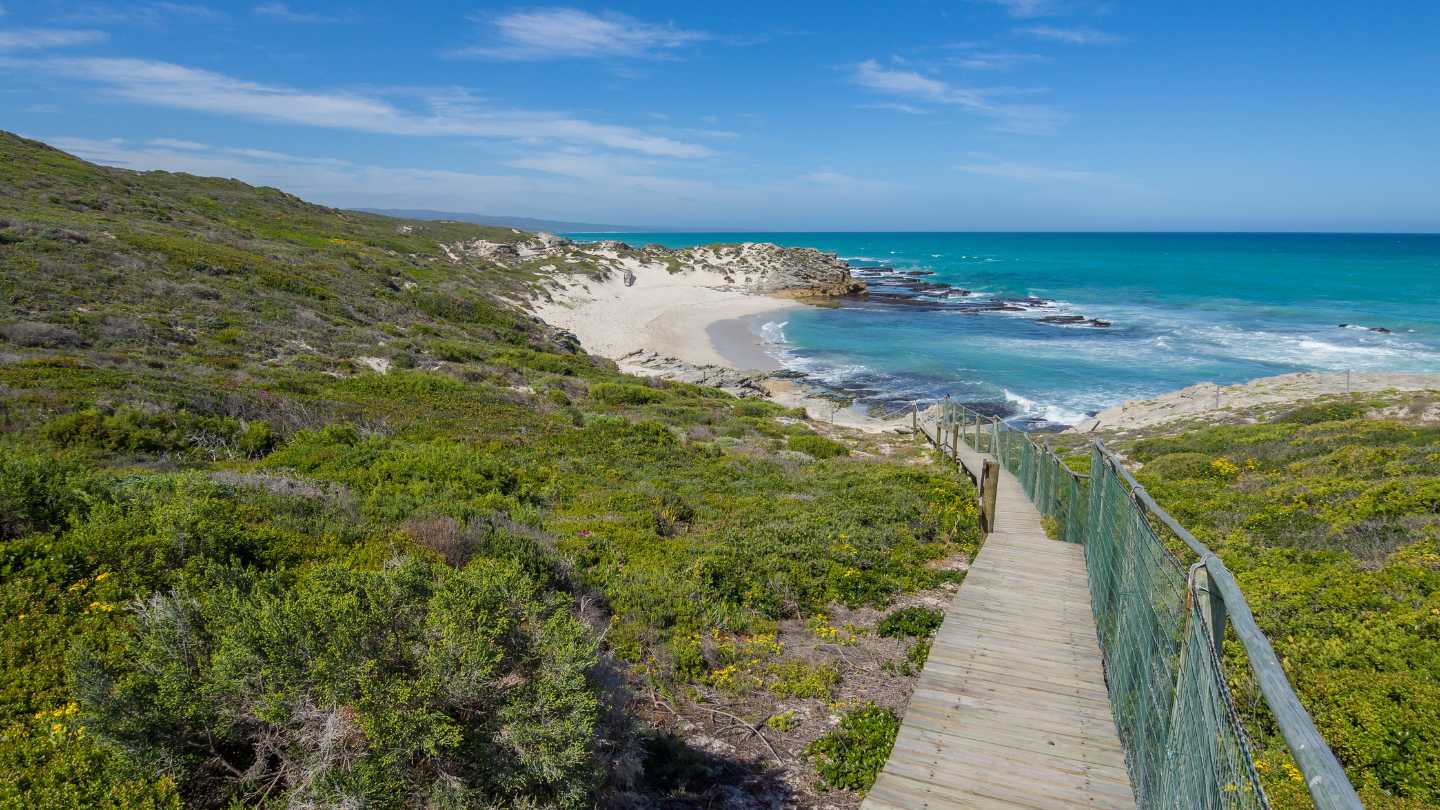 De Hoop Nature Reserve - Featured Image