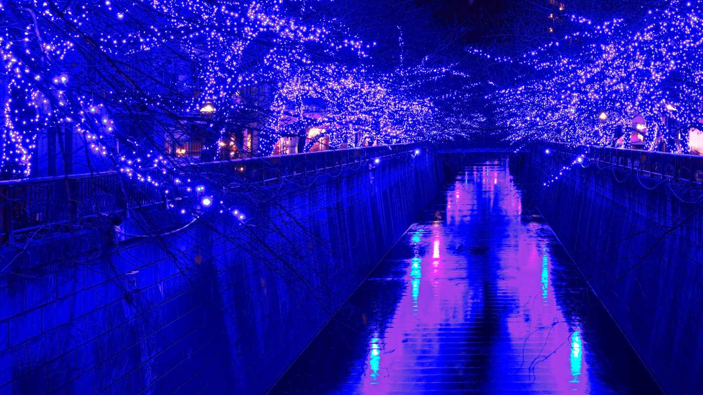 Festive Cruises: Celebrate the Holiday Season with Luxury and Adventure at Sea - Image 6