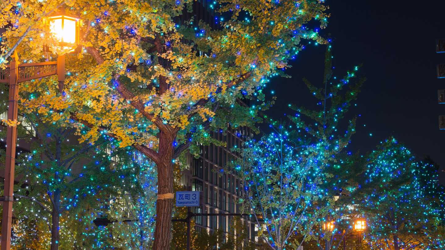 Top Destinations to Visit This Festive Season - Image 3