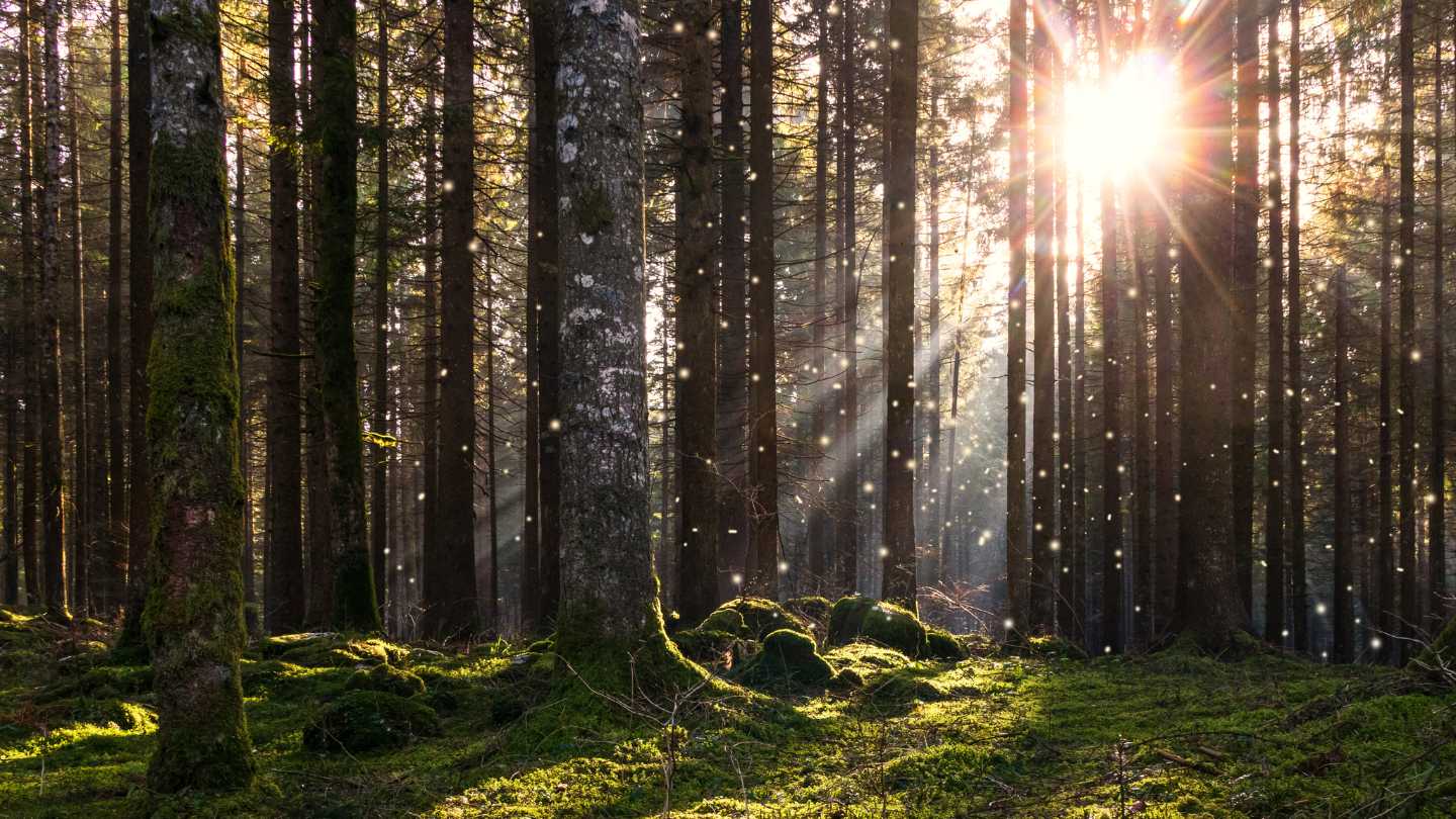 Why Planning Your December Vacation Now Saves You Time and Money - Image 2